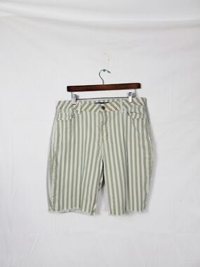 Women's Size 16 Project Blue Striped Green & White Casual Shorts